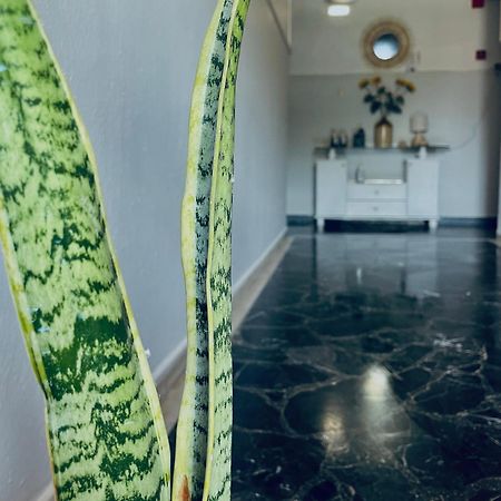 Aktaion Hotel Skala Alykis Exteriér fotografie