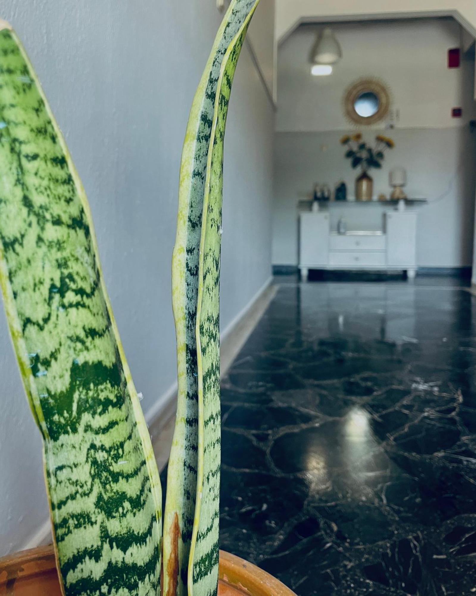 Aktaion Hotel Skala Alykis Exteriér fotografie