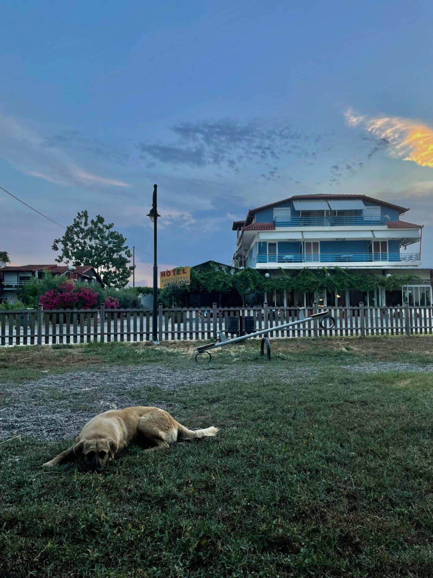 Aktaion Hotel Skala Alykis Exteriér fotografie