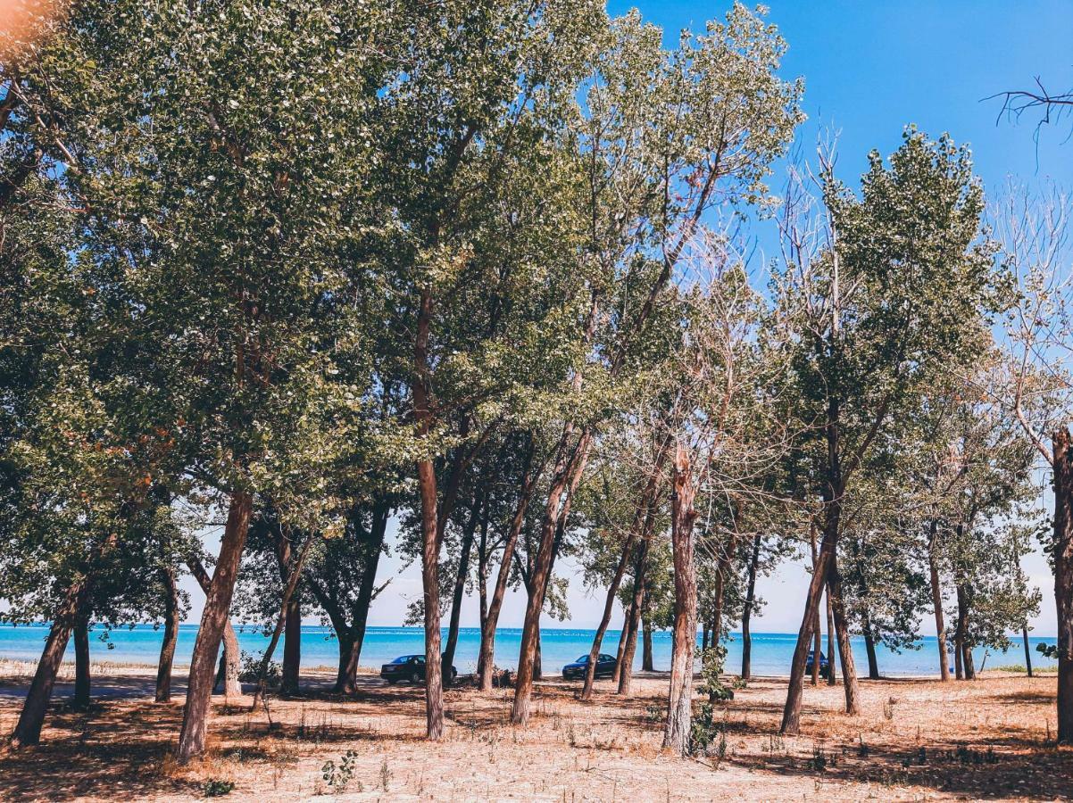 Aktaion Hotel Skala Alykis Exteriér fotografie